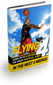 flying_in_four_book